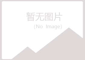 石河子夏日服务有限公司